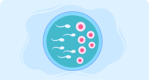 How to improve male fertility