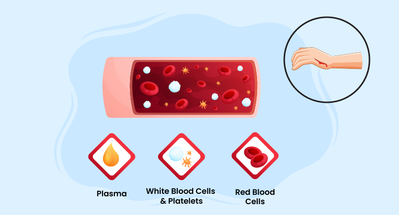 Course in Wound Cauterization