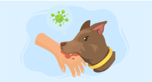 Rabies Prevention and Control