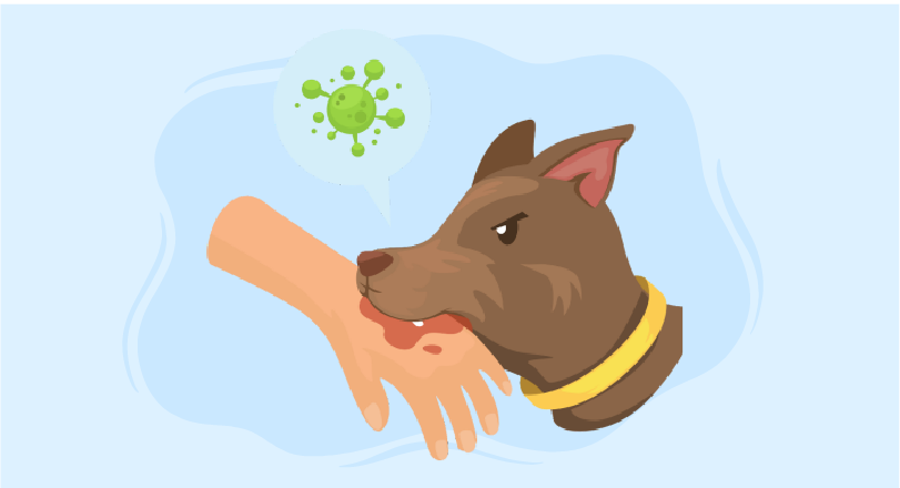 Rabies Prevention and Control