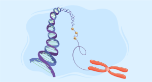 Congenital Adrenal Hyperplasia course