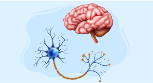Pick’s disease diagnosis