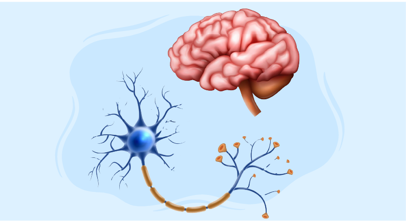 Pick’s disease diagnosis