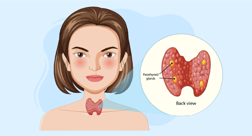 Understanding Euthyroid Sick Syndrome